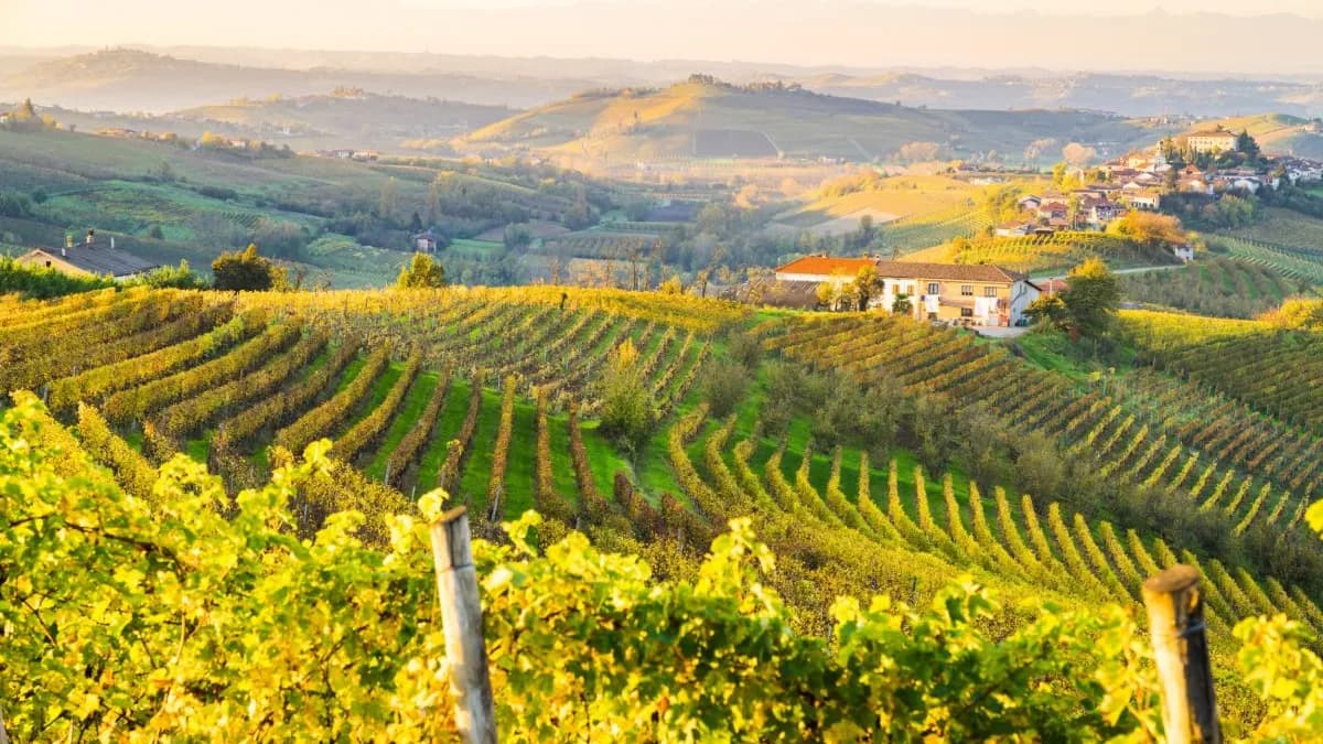 The crowd-free alternative to Tuscany for perfect wine tasting